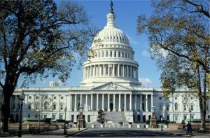 US Capitol Building Washington DC