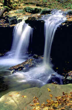 Falls at Frozen Head State Park