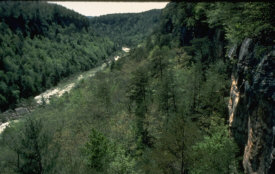 Obed River from Overlook at Hauns