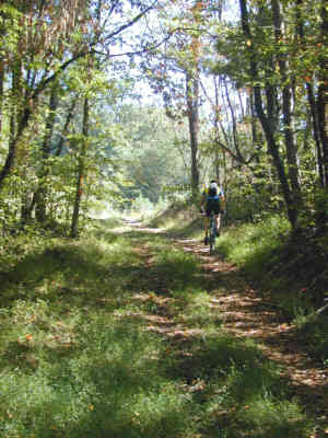 On the Trail